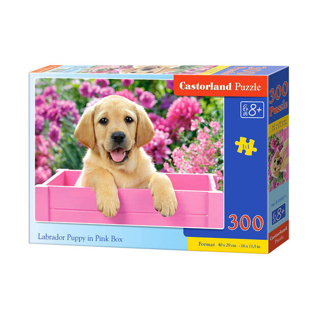Puzle Castorland Labrador Puppy in Pink Box, 300 daļas