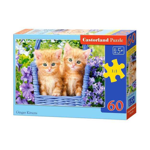 Puzle Castorland Ginger Kittens,, 60 daļas