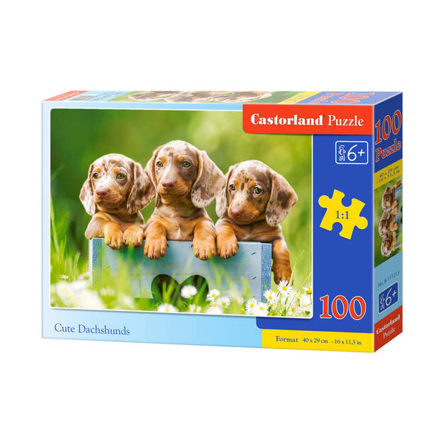 Castorland Cute Dachshunds Puzzle, 100 gabaliņi