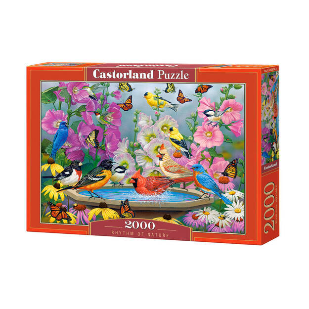 Castorland Rhytm Of Nature Puzzle, 2000 gabaliņu