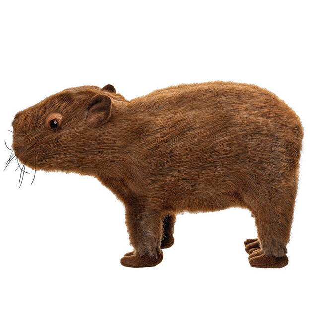 Plīša rotaļlieta kapibara, 33 cm