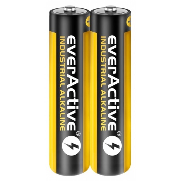 AAA baterijas EverActive Industrial Alkaline LR03 2gab.