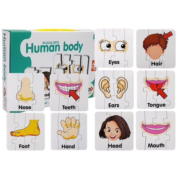 Izglītojoša puzle "Cilvēka ķermeņa daļas"