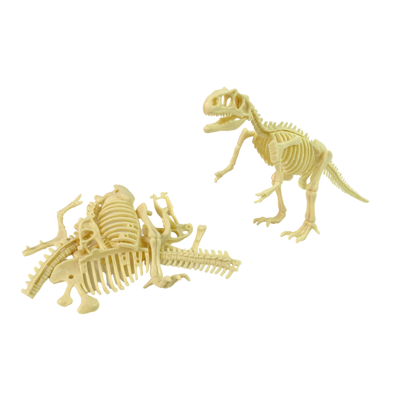 Arheoloģiskā kolekcija - Dinozaura skelets