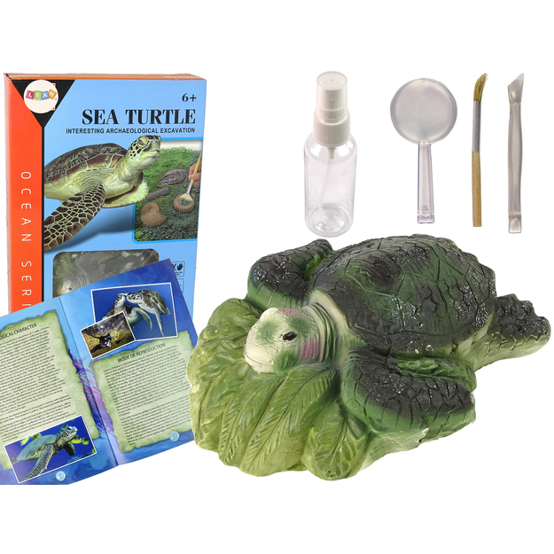 Izglītojošs komplekts, bruņurupucis